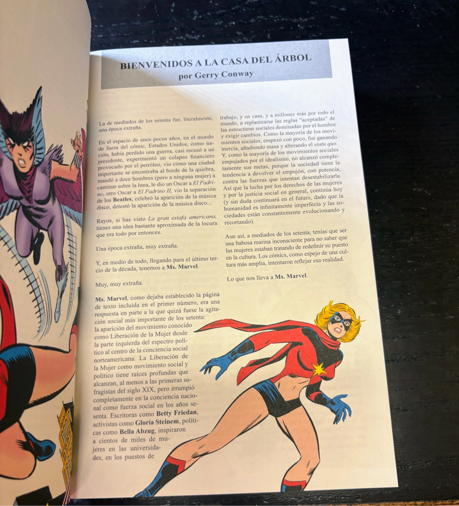 Ms. Marvel Marvel Limited Edition Panini | Single Volume | Hardcover | Very Good Condition – photo 3